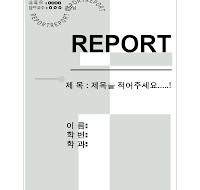 레포트표지 (30) 레포트표지 (30)